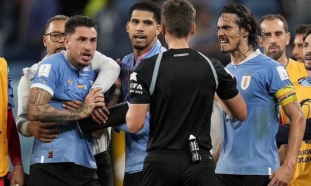 Jose Gimenez and Edinson Cavani banned following ugly scenes after Uruguay World Cup exit