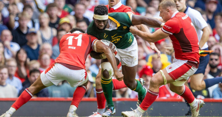 South Africa Springboks secure rampant win over Wales in Rugby world cup warm-up game as Jacques Nienaber identifies problems to fix